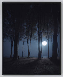 Bildnachweis: Andreas Mühe „Gespensterwald“ 2015, c-print, framed; 220 x 175 cm; Courtesy of the artist and Schloss Kummerow